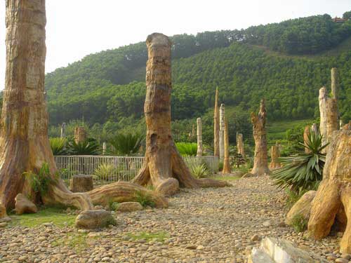 รูปภาพคอมเมนต์