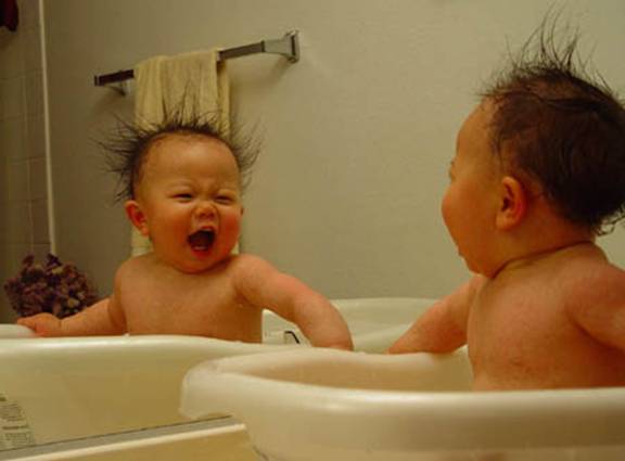 รูปภาพคอมเมนต์