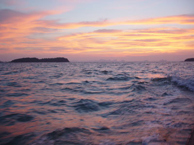 รูปภาพคอมเมนต์