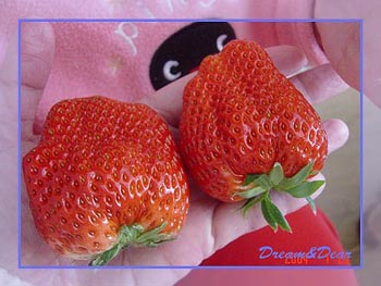 รูปภาพคอมเมนต์