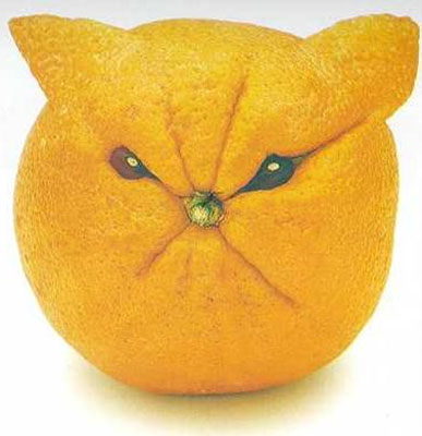 รูปภาพคอมเมนต์