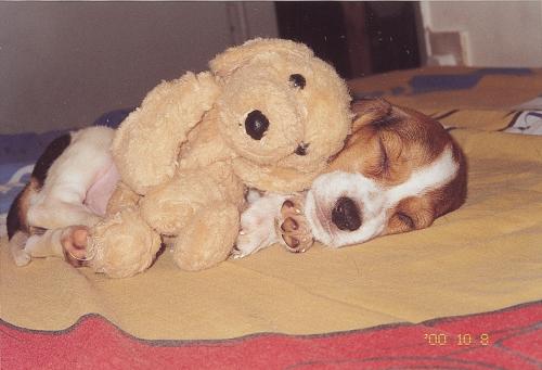 แอบถ่ายตอนนอน