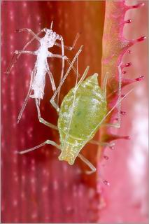 รูปภาพคอมเมนต์