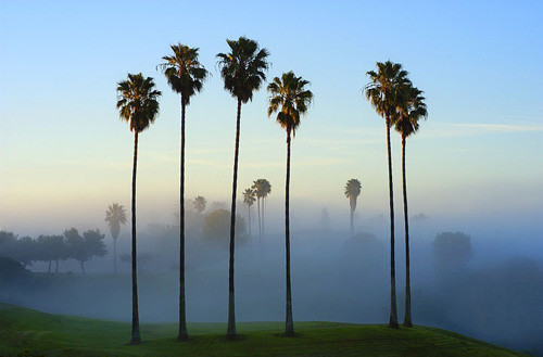 รูปภาพคอมเมนต์