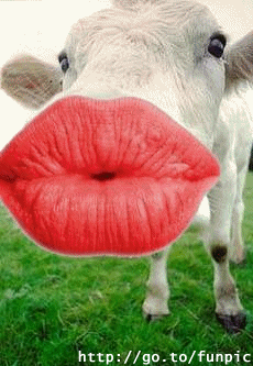 รูปภาพคอมเมนต์