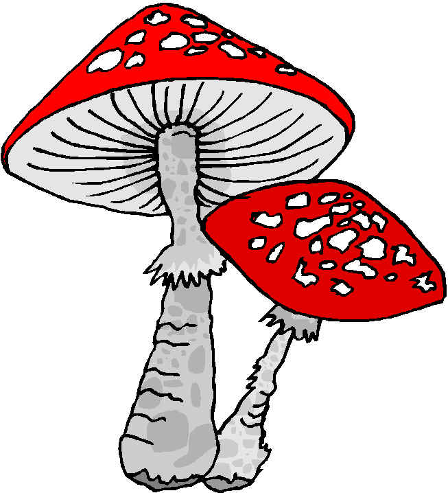 รูปภาพคอมเมนต์