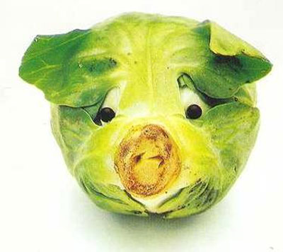 รูปภาพคอมเมนต์