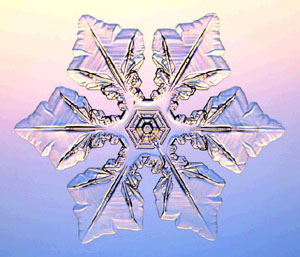 *- Snow under microscope!! -*