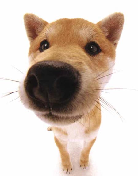 Summer Girl กับ เทย่า โรเจอร์