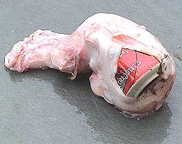 ปลาพันธุ์ใหม่ กินได้แม้กระทั่งโคล่า