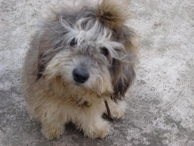 รูปภาพคอมเมนต์