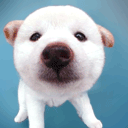 รูปภาพคอมเมนต์