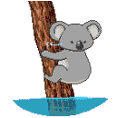 รูปภาพคอมเมนต์