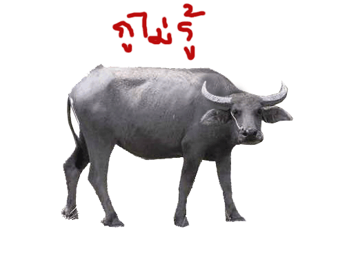 รูปประกอบความคิดเห็น