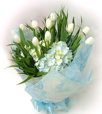 รูปภาพคอมเมนต์