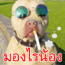 รูปภาพคอมเมนต์