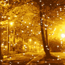 รูปภาพคอมเมนต์