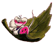 รูปภาพคอมเมนต์