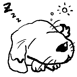 รูปภาพคอมเมนต์