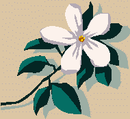 รูปภาพคอมเมนต์