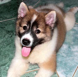 ผู้ชายชอบผู้หญิงแบบไหนเอ่ย?