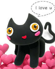 รูปภาพคอมเมนต์