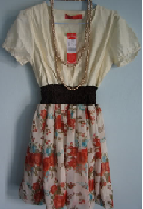 ตามหาเดรส ,,