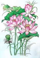 ขอรับบริจาคชุดคลุมท้องค่ะ